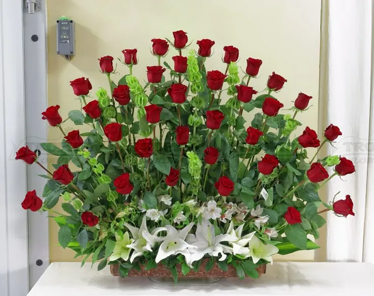 Arreglo de 40 Rosas en Corteza
