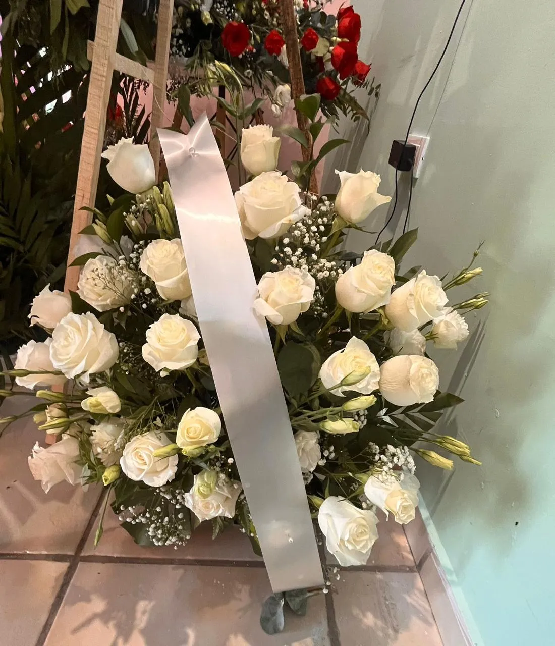 Rosas Blancas